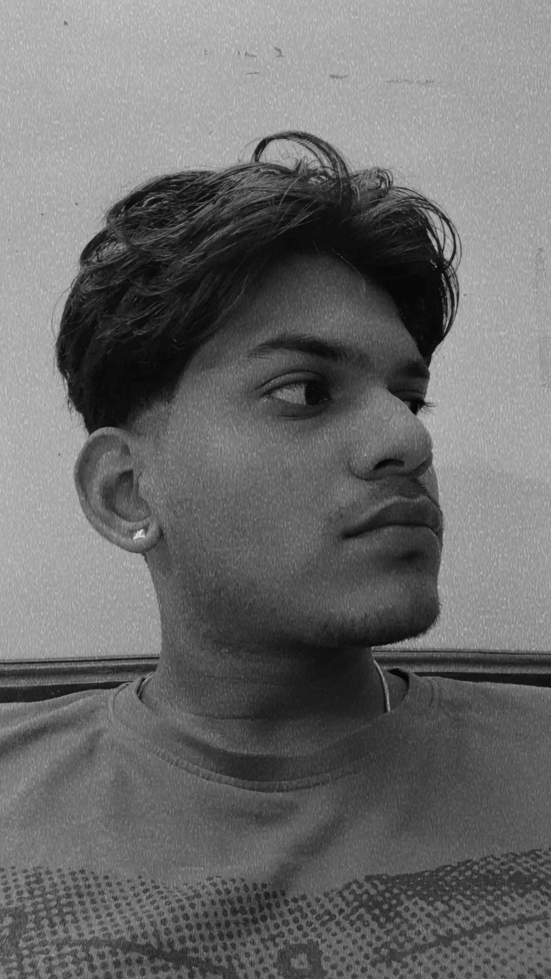 Portrait of Stallone, Head Of Development